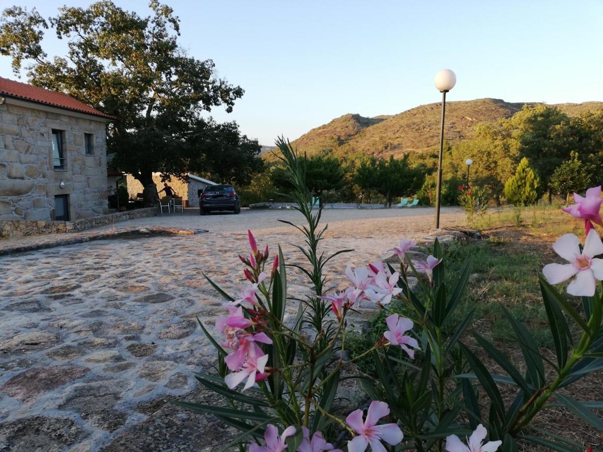 Quinta Dos Carvalhais - Serra Da Estrela Fornos de Algodres Buitenkant foto