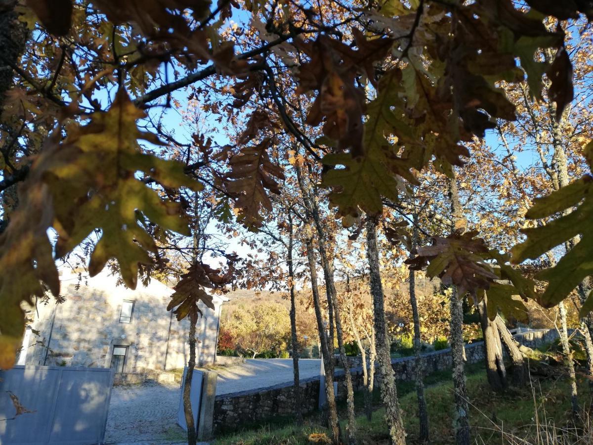 Quinta Dos Carvalhais - Serra Da Estrela Fornos de Algodres Buitenkant foto