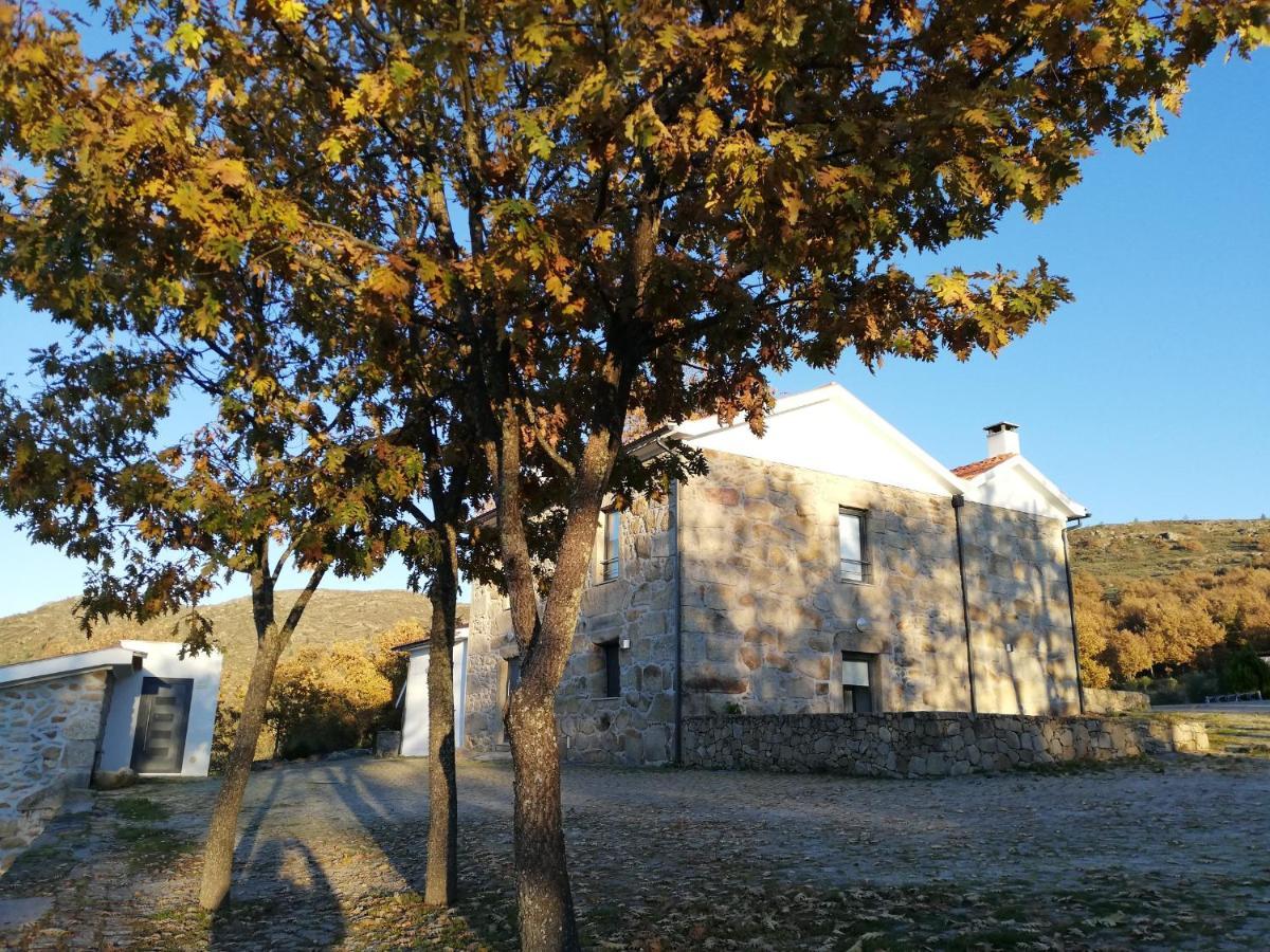 Quinta Dos Carvalhais - Serra Da Estrela Fornos de Algodres Buitenkant foto