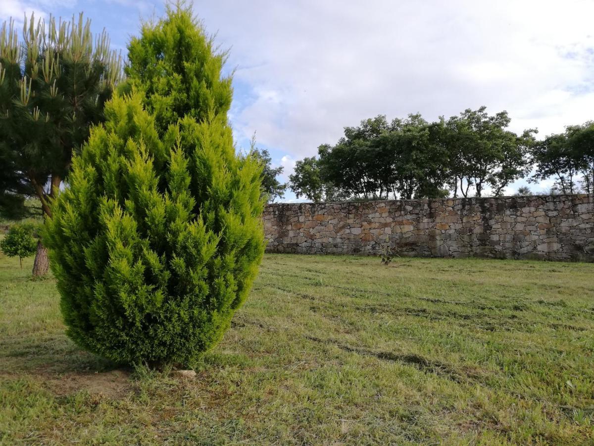 Quinta Dos Carvalhais - Serra Da Estrela Fornos de Algodres Buitenkant foto