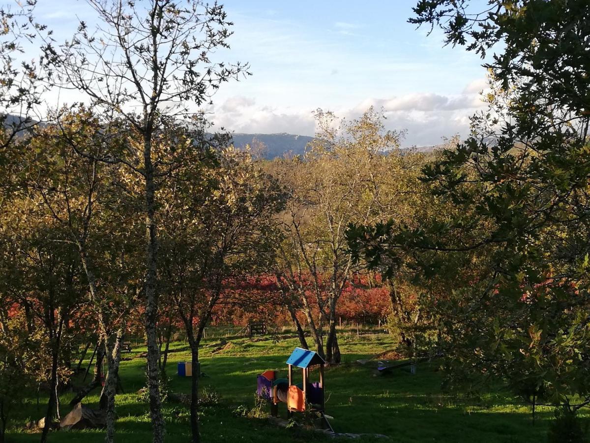 Quinta Dos Carvalhais - Serra Da Estrela Fornos de Algodres Buitenkant foto