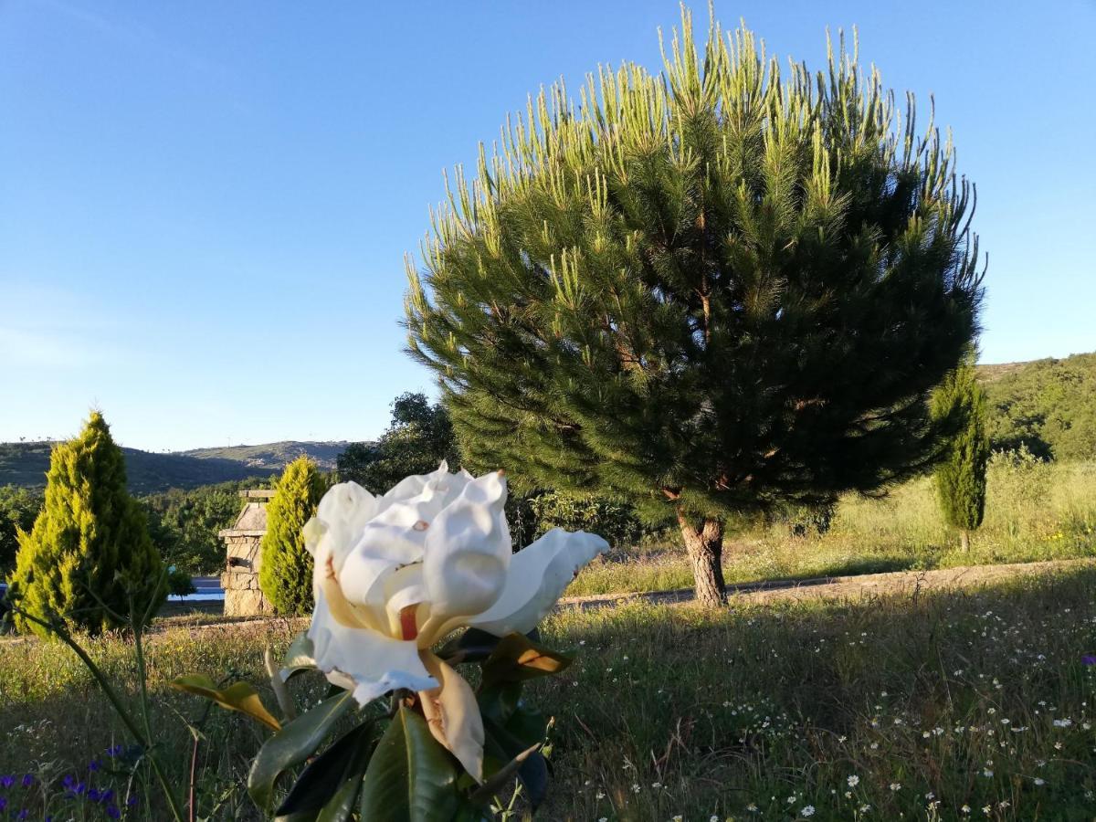 Quinta Dos Carvalhais - Serra Da Estrela Fornos de Algodres Buitenkant foto