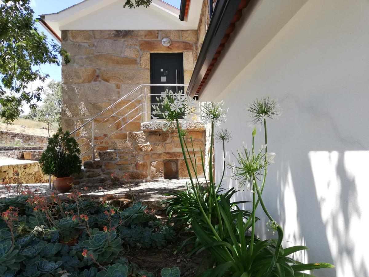 Quinta Dos Carvalhais - Serra Da Estrela Fornos de Algodres Buitenkant foto