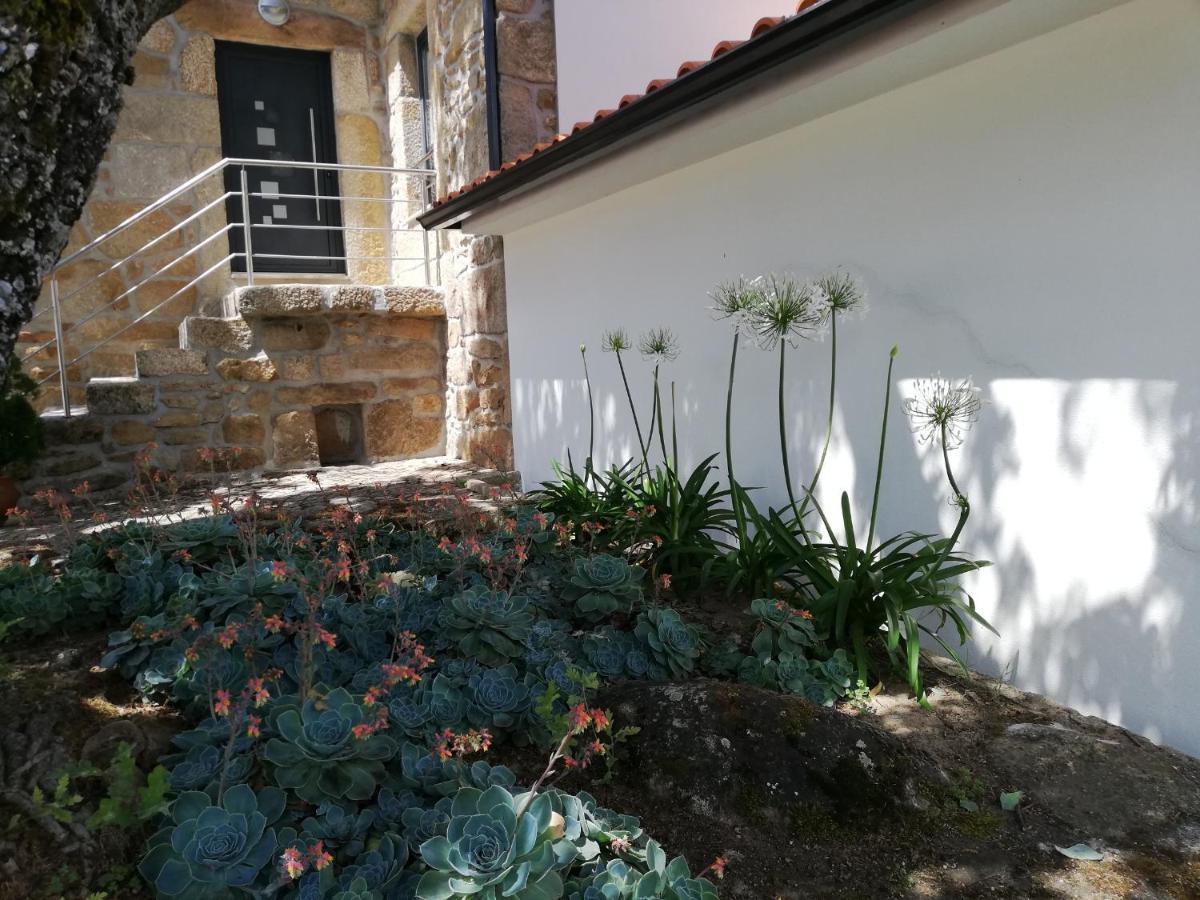Quinta Dos Carvalhais - Serra Da Estrela Fornos de Algodres Buitenkant foto