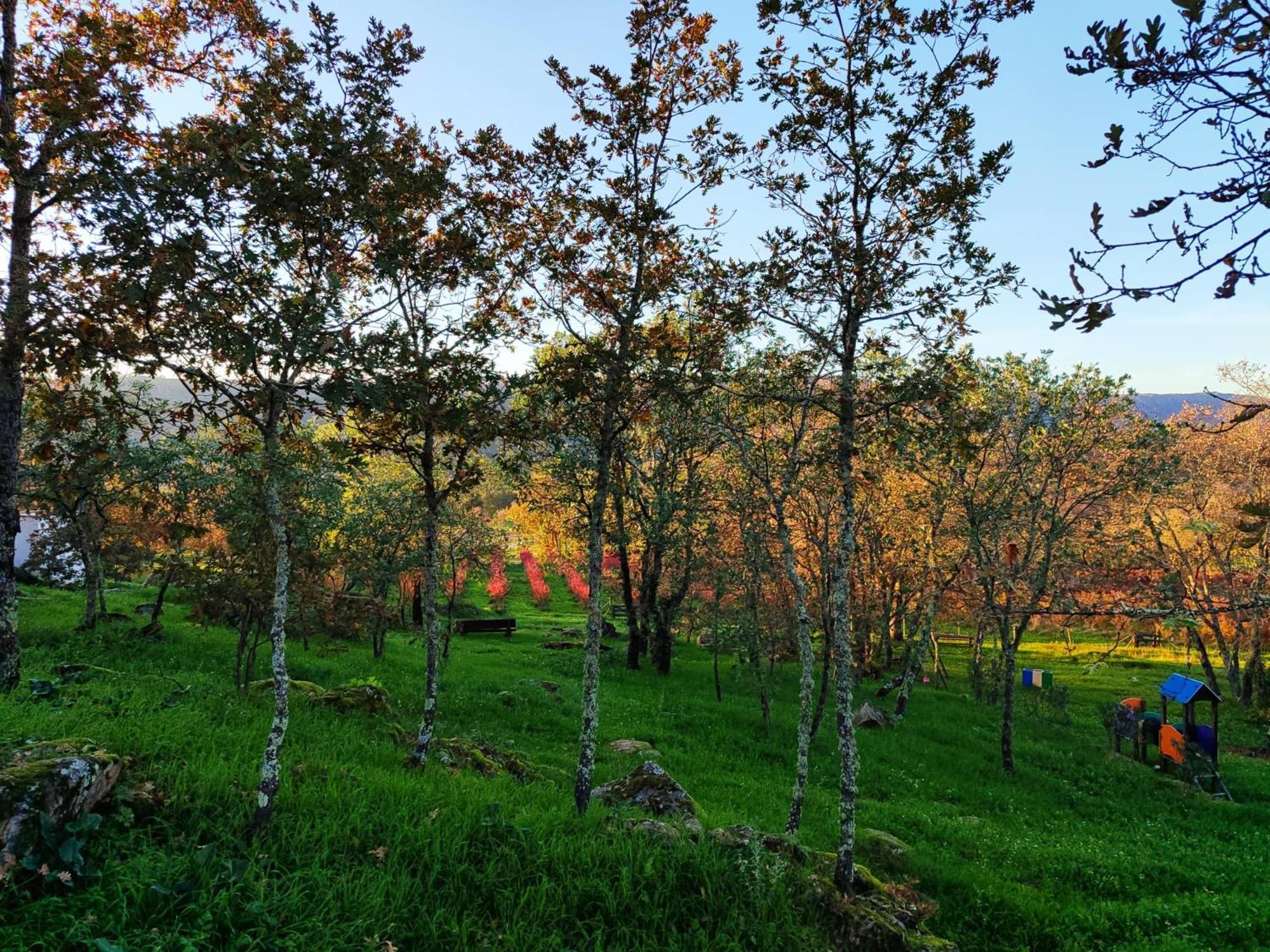 Quinta Dos Carvalhais - Serra Da Estrela Fornos de Algodres Buitenkant foto