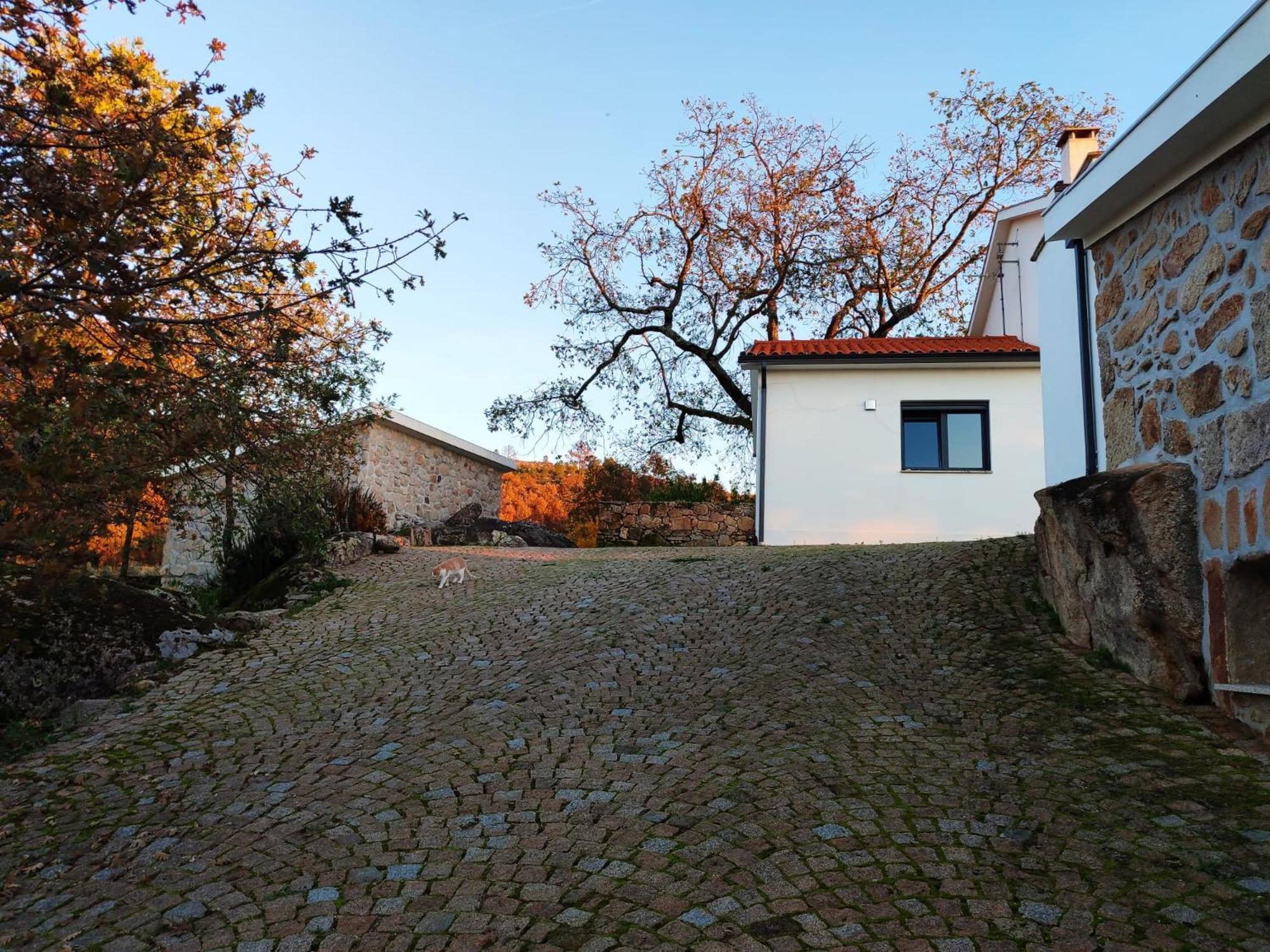Quinta Dos Carvalhais - Serra Da Estrela Fornos de Algodres Buitenkant foto