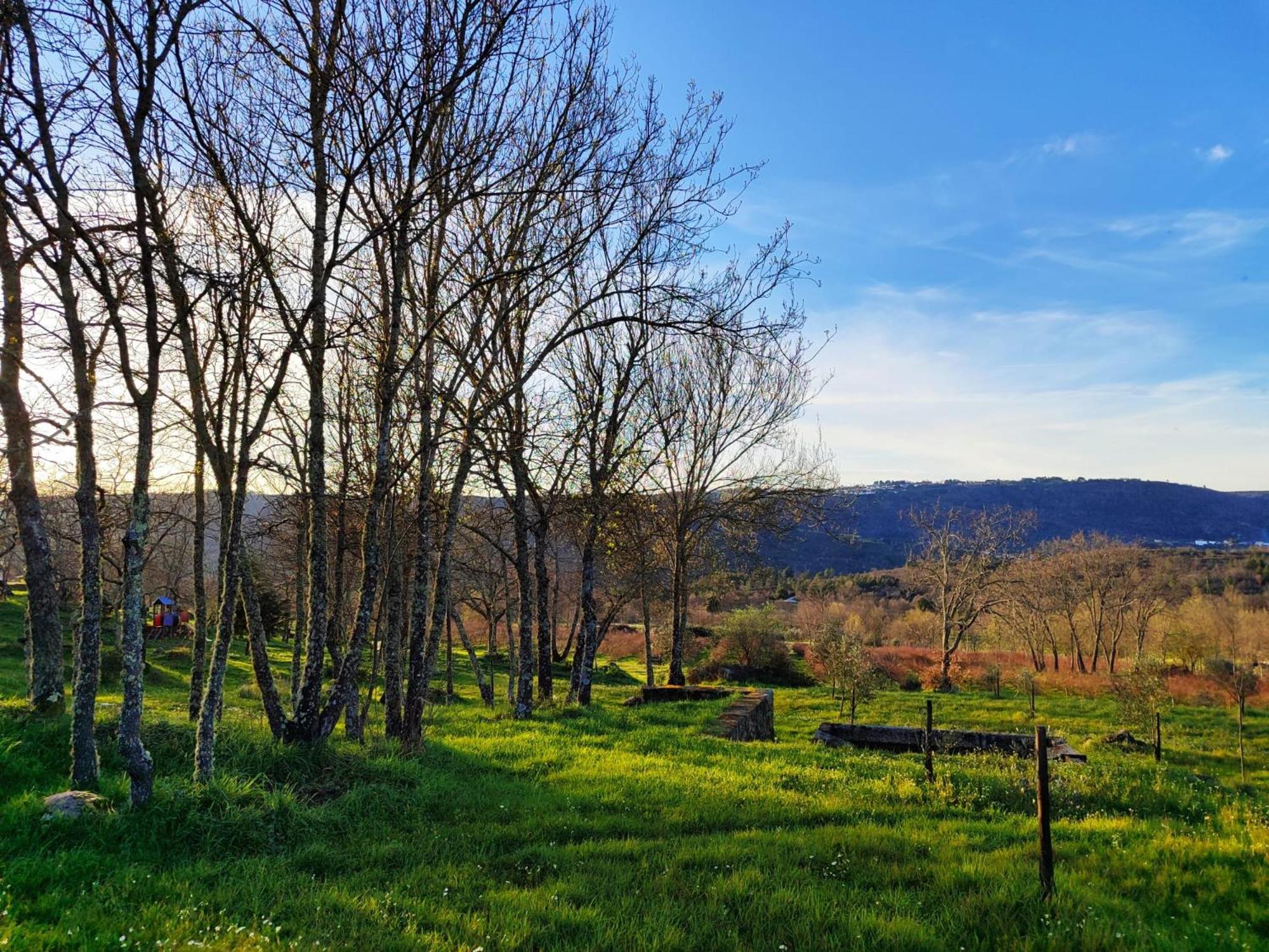 Quinta Dos Carvalhais - Serra Da Estrela Fornos de Algodres Buitenkant foto