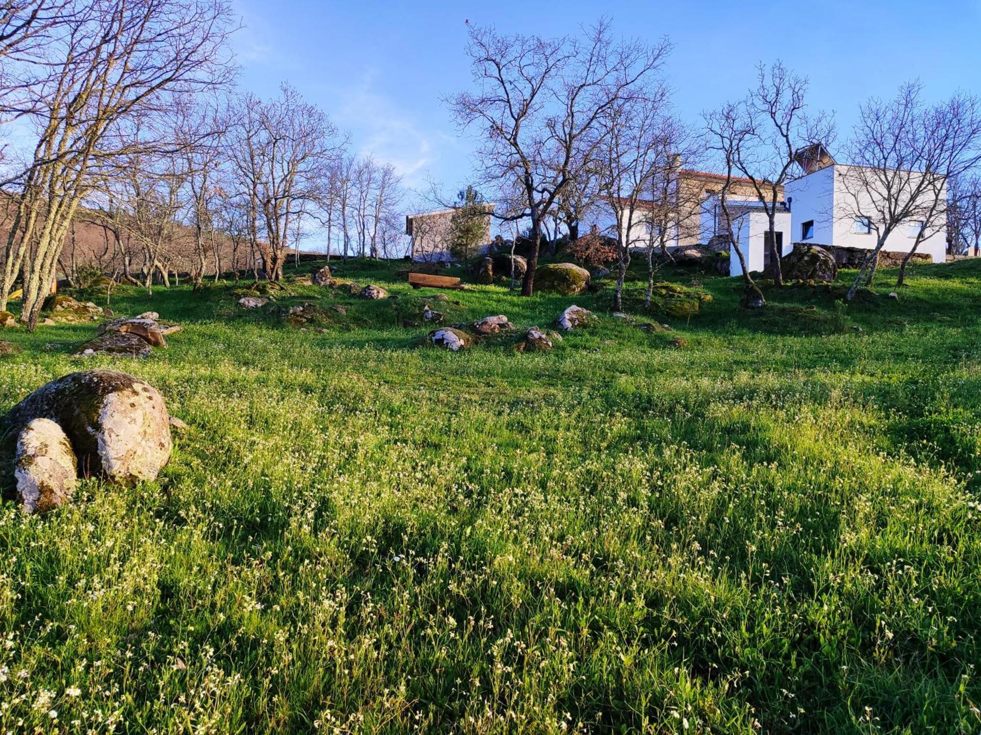 Quinta Dos Carvalhais - Serra Da Estrela Fornos de Algodres Buitenkant foto