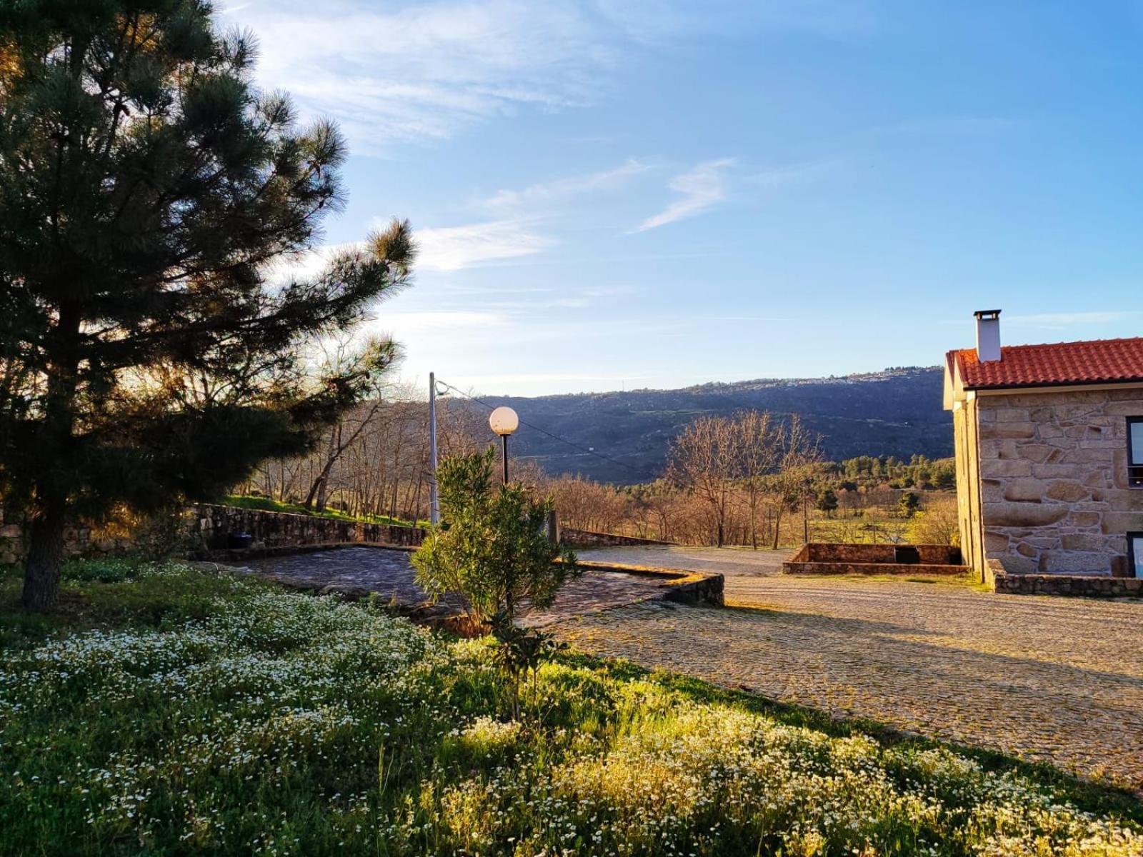 Quinta Dos Carvalhais - Serra Da Estrela Fornos de Algodres Buitenkant foto