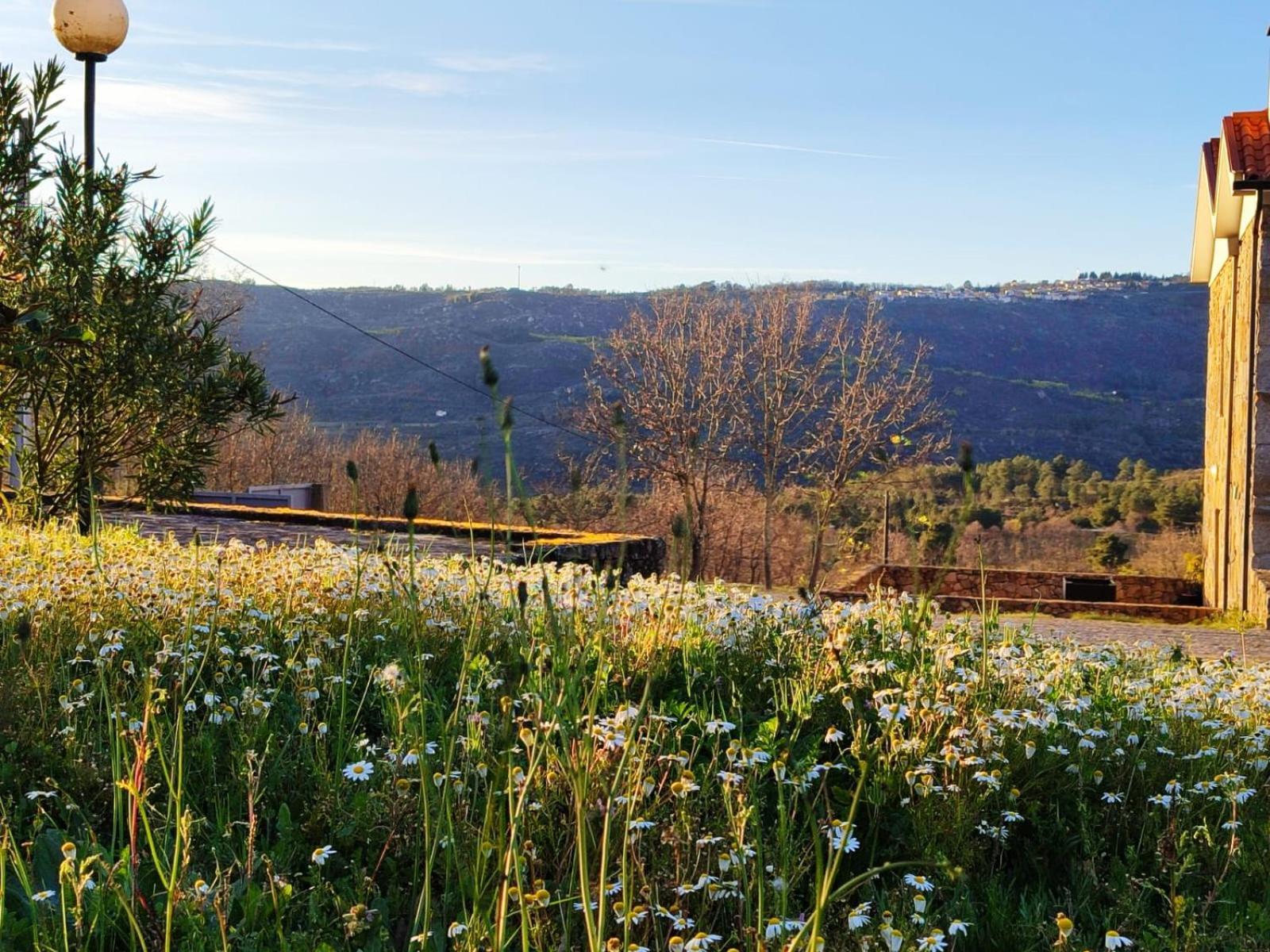 Quinta Dos Carvalhais - Serra Da Estrela Fornos de Algodres Buitenkant foto