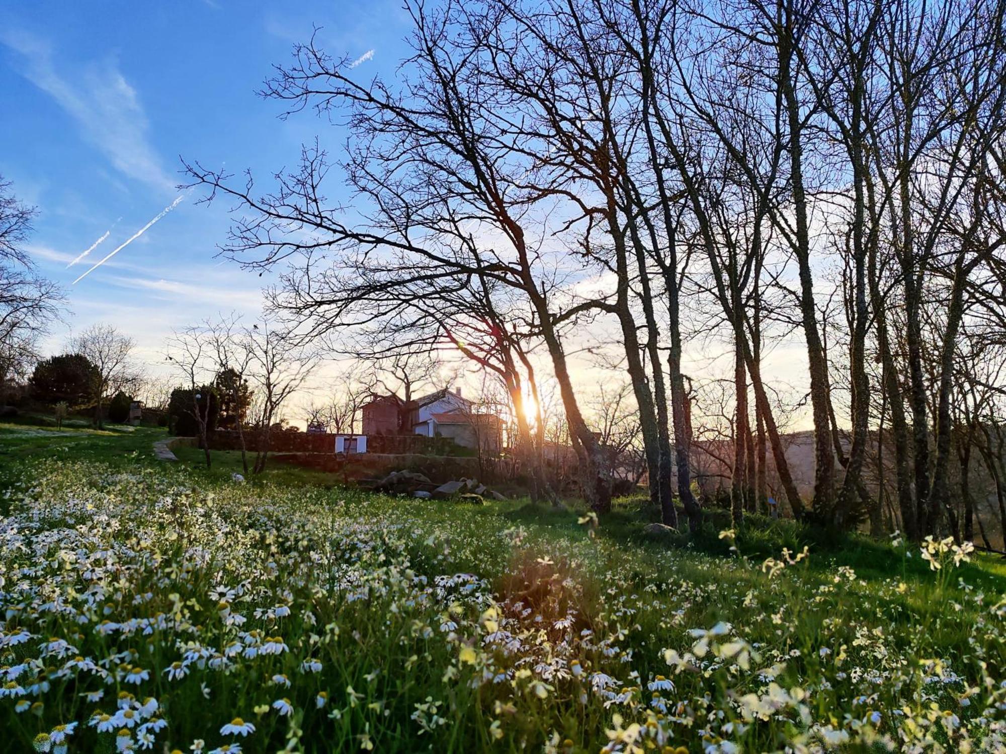 Quinta Dos Carvalhais - Serra Da Estrela Fornos de Algodres Buitenkant foto