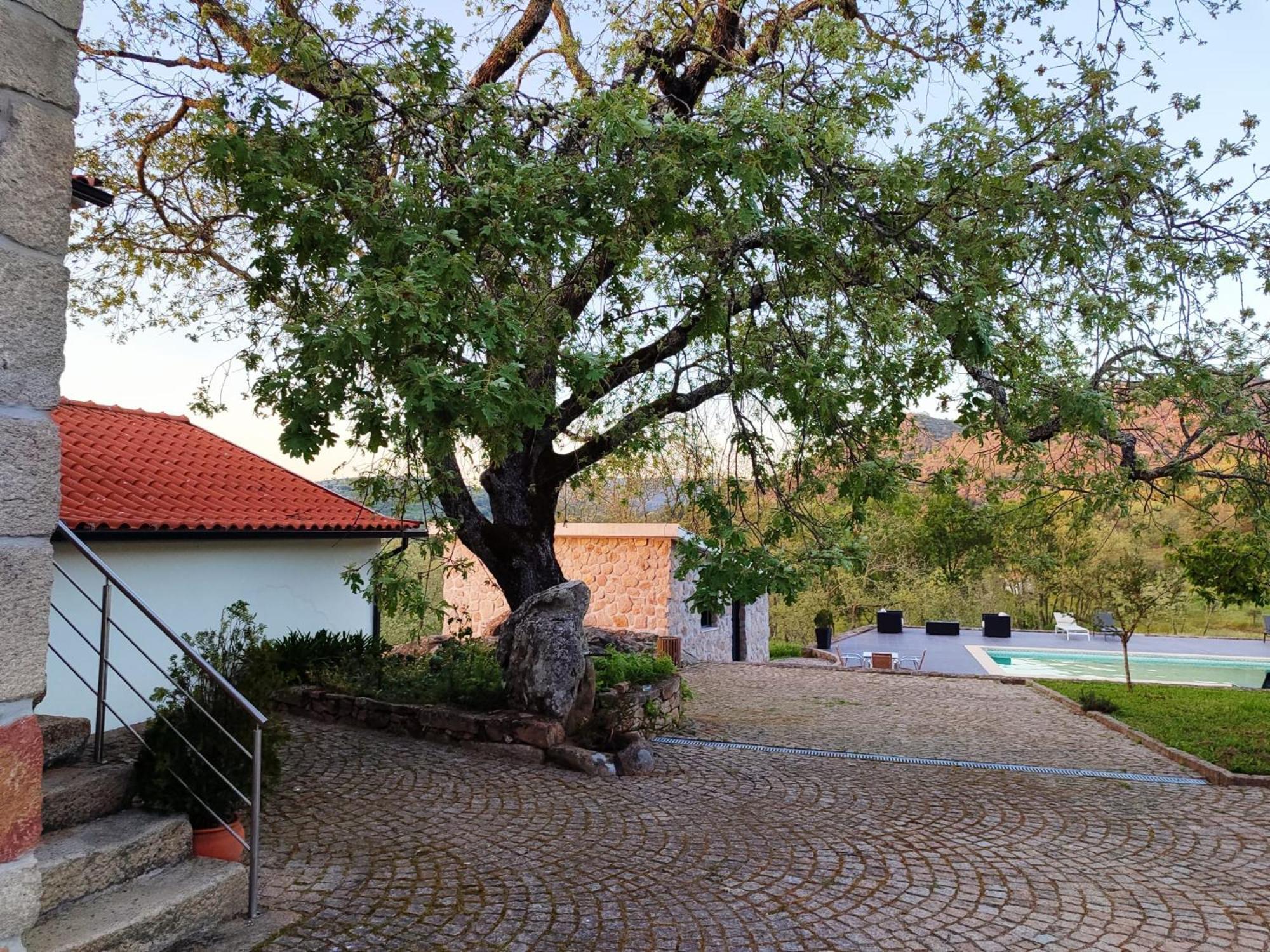 Quinta Dos Carvalhais - Serra Da Estrela Fornos de Algodres Buitenkant foto